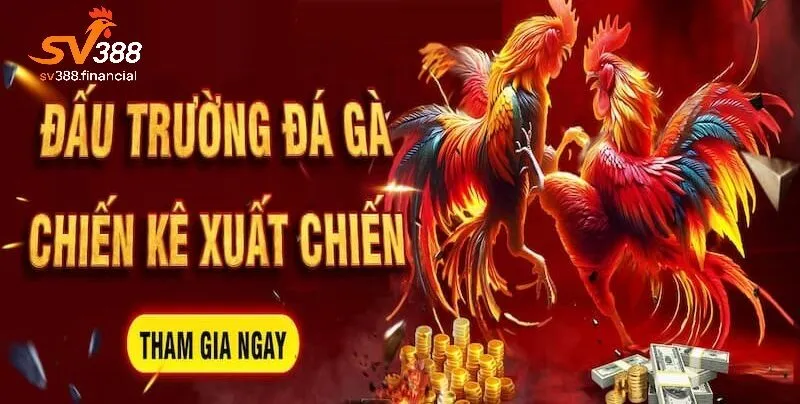 SV388 là gì ? Tổng quan về sảnh đá gà trực tuyến hàng đầu